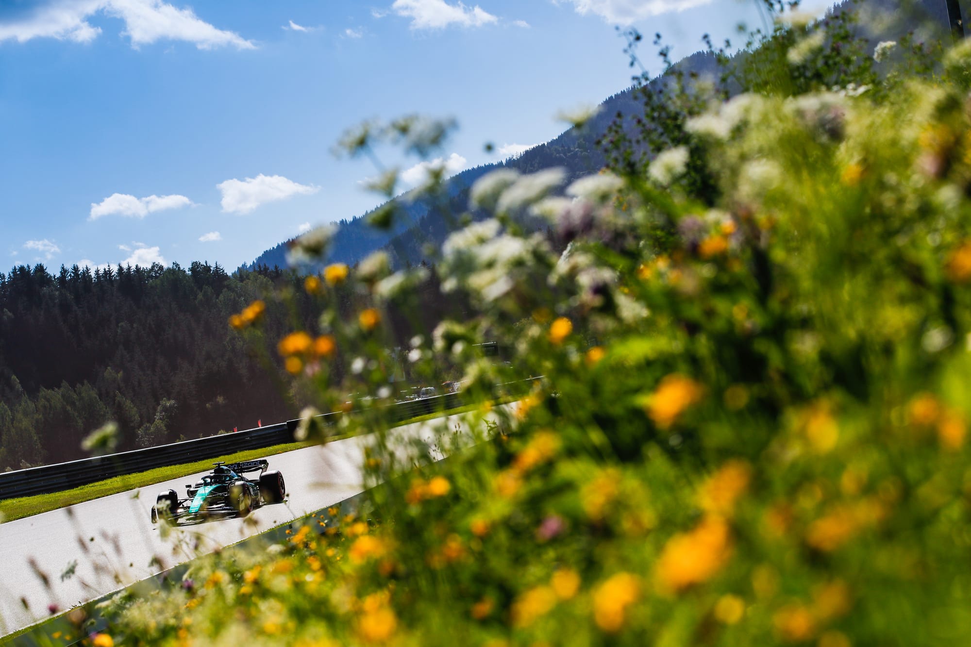 Aston Martin AMR24 Austria, driving past flowers