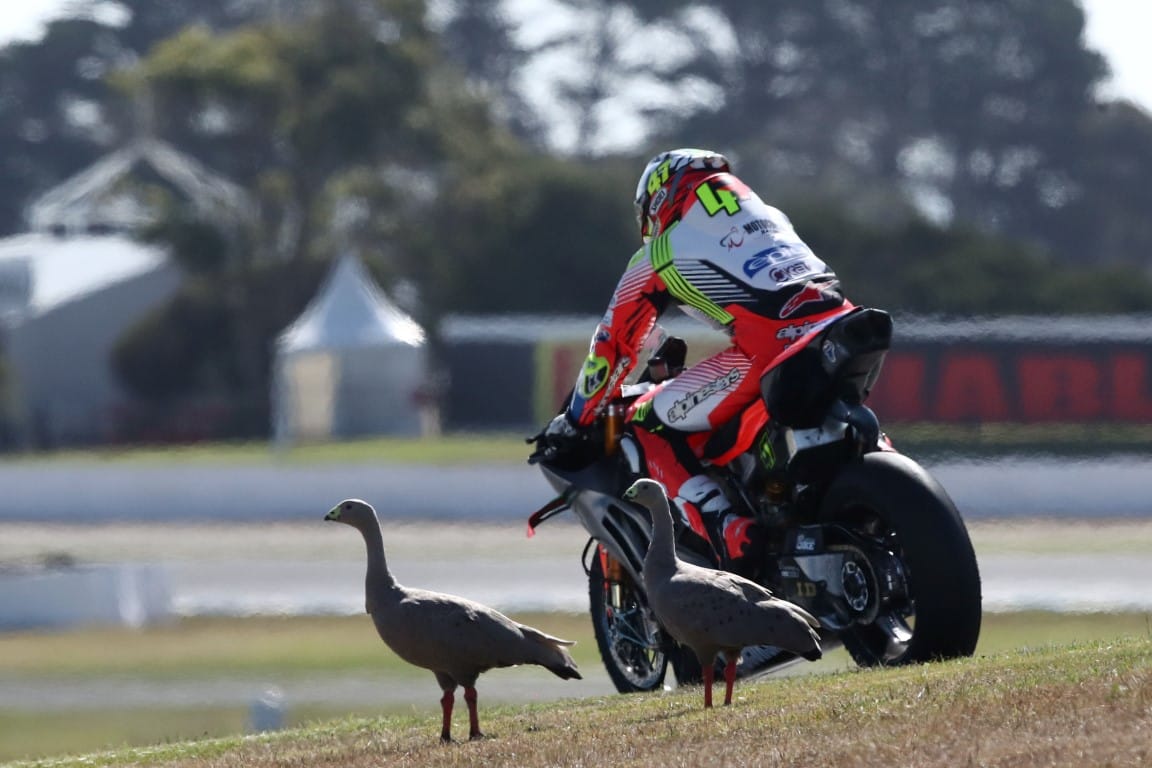 Phillip Island, World Superbike