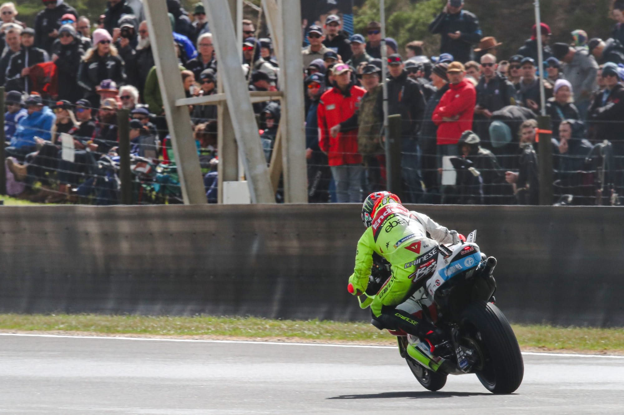 Marco Bezzecchi VR46 Ducati Phillip Island MotoGP 2024