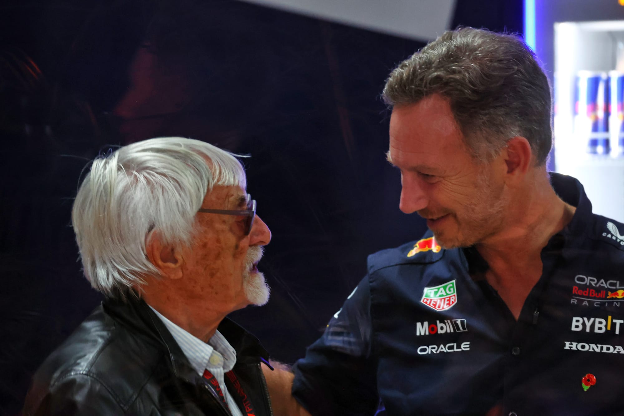 Bernie Ecclestone and Christian Horner