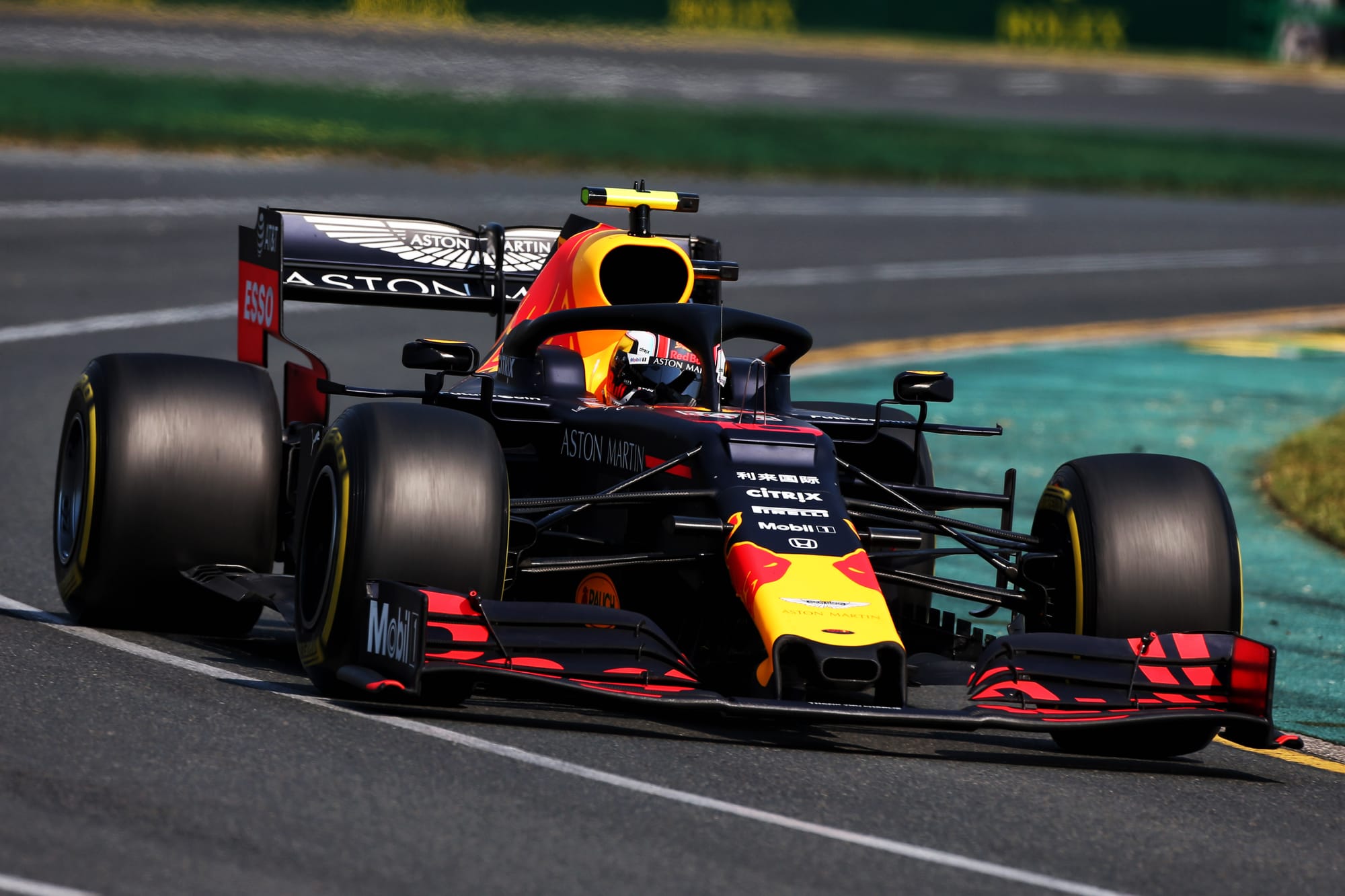 Pierre Gasly Red Bull Australian Grand Prix 2019