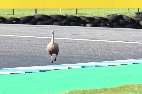 Phillip Island MotoGP